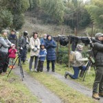 写真① メジロを観察する参加者の皆さん