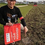 写真⑧ もとの位置に巣をそっと戻す