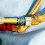 写真② 色足環の装着例